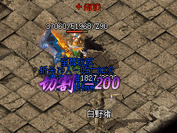 传奇发布网评测：高爆率版本是否真的爆率惊